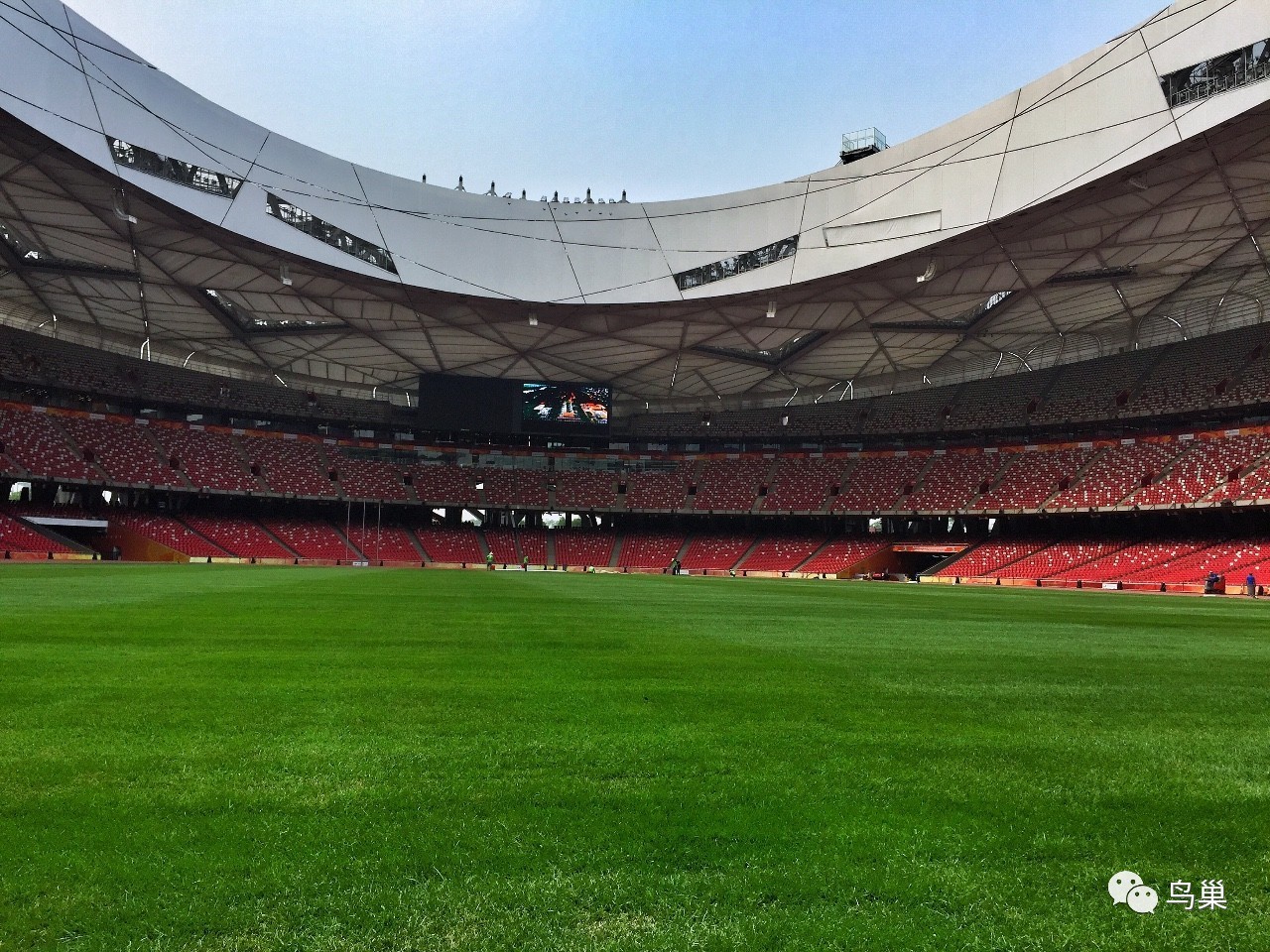 意大利杯倒计时，孟菲斯灰熊窗口期手感冰凉，细节引发关注，更衣室稳定，医务组通报恢复(意大利足球贴吧)-lol竞猜